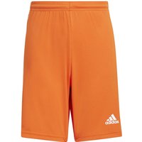 adidas Squadra 21 Shorts Kinder team orange/white 164 von adidas performance