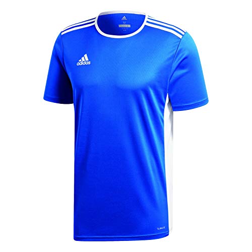 adidas Kinder Entrada18 Jersey Fußball-t-Shirt, Blu_Bianco, XS von adidas
