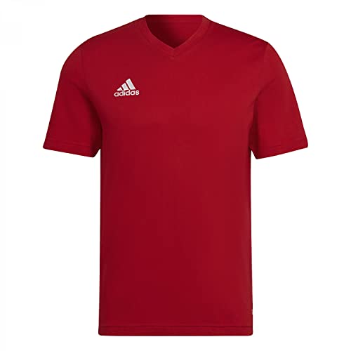 adidas Herren Ent22 Tea T Shirt, Team Power Red 2, XXL EU von adidas