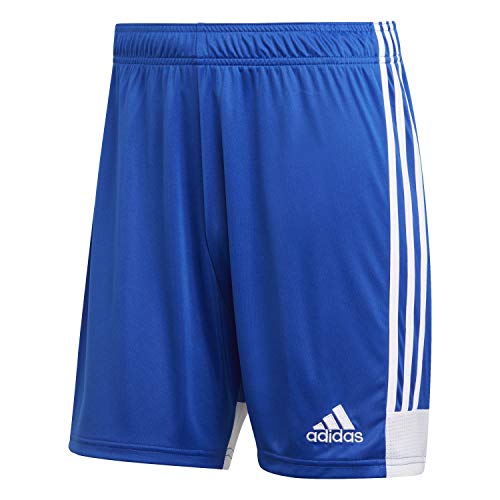 adidas Herren TASTIGO19 SHO Sport Shorts, bold blue/White, S von adidas