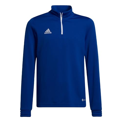adidas Herren ent22 tr topy Sweatshirt, Team Royal Blue, XS-XL EU von adidas