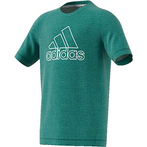 adidas Jungen Climachill T-Shirt Grün, Weiß, 140 von adidas