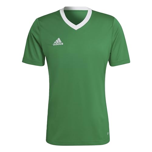 adidas Herren Ent22 Jsy T Shirt, Team Green/White, XXL EU von adidas