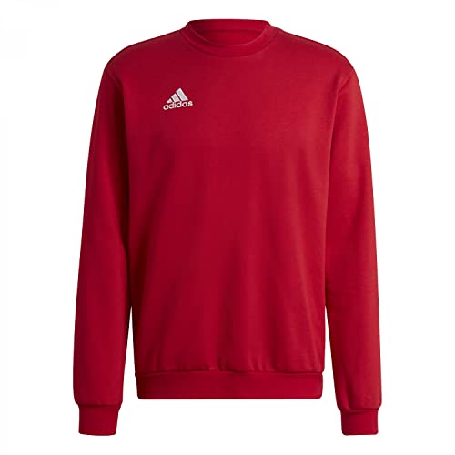 adidas Men's Ent22 Top Sweatshirt, team power red 2, L EU von adidas