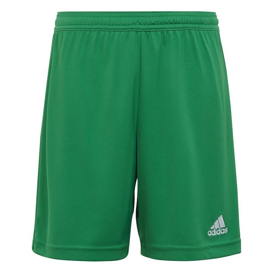 adidas Shorts Entrada 22 - Grün/Weiß Kinder von adidas