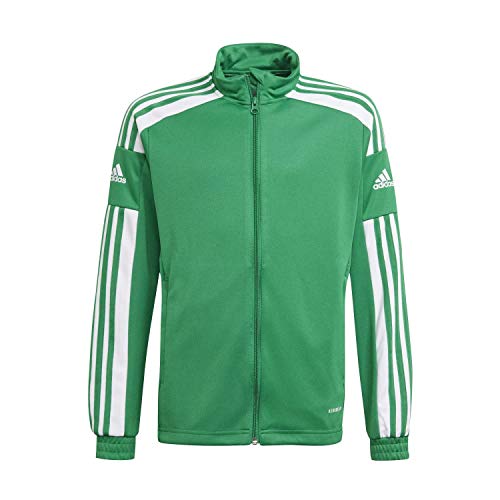 adidas Jungen Sq21 Trainingsjacke, Team Green/White, 140 EU von adidas