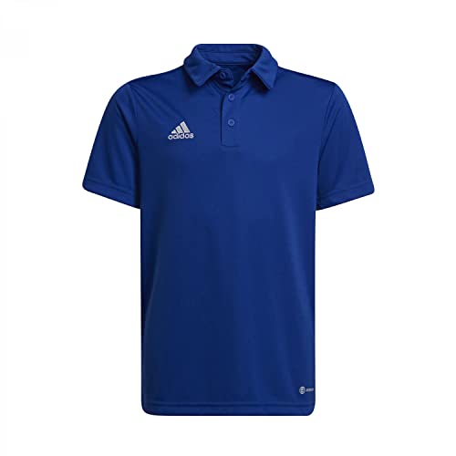 adidas ENT22 Polo Y Shirt, Team royal Blue, 15-16 Jahre von adidas