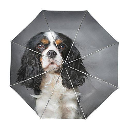 alaza Cavalier King Charles Spaniel Hund Regenschirm Reise Auto Öffnen Schließen UV-Schutz-windundurchlässiges Leichtes Regenschirm von alaza