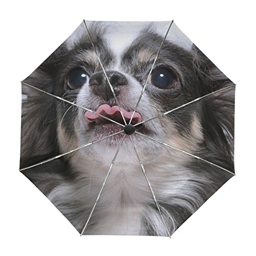 alaza Netter Chihuahua-Hund Regenschirm Reise Auto Öffnen Schließen UV-Schutz Windsicher von alaza