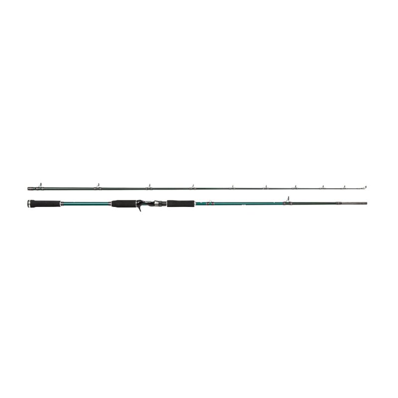 ABU GARCIA Beast X Pike Casting Rod 2,13m 20-70g