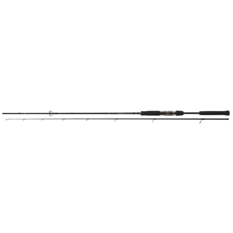 DAIWA Airity Spin 2,7m 14-42g