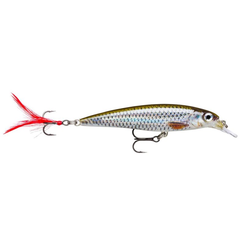 RAPALA X-Rap 6cm 4g Live Roach