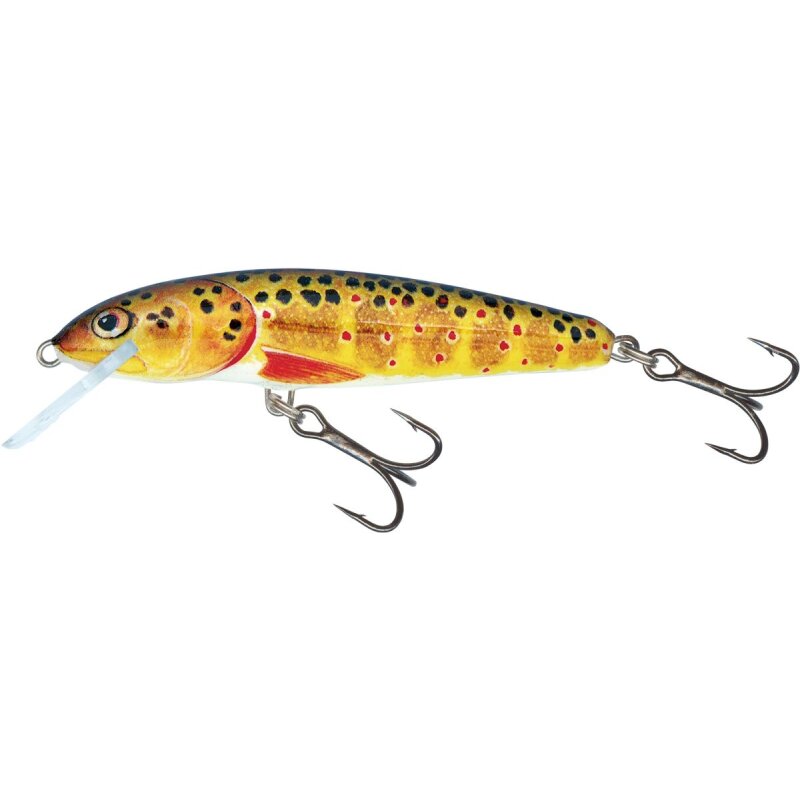 SALMO Minnow Floating 6cm 4g Trout
