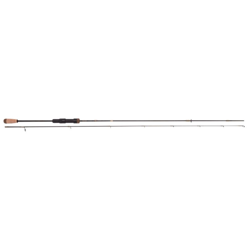 TROUTMASTER NT Lite Influence 2,1m 2-12g