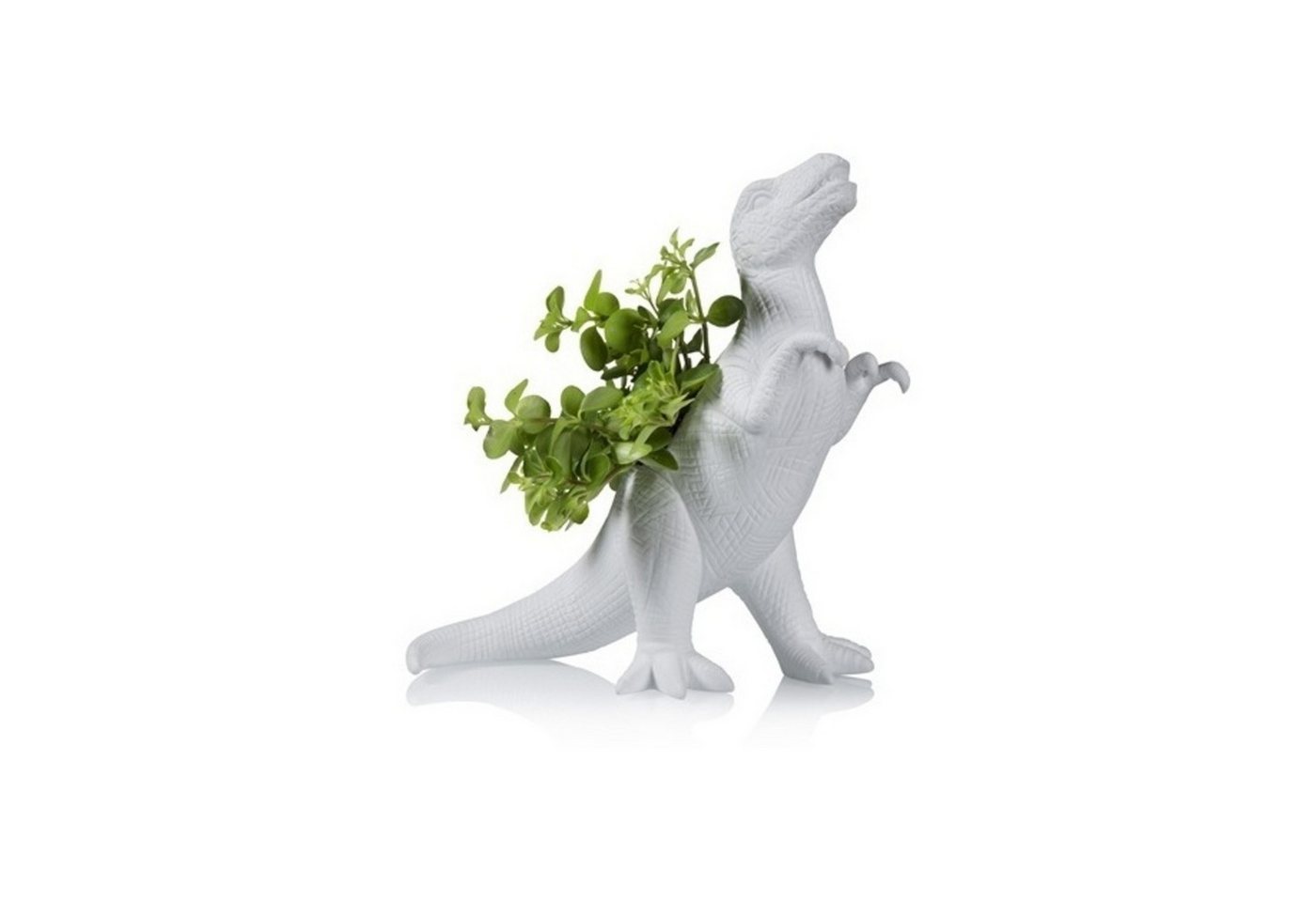 bitten Blumentopf Plantosaurus Rex Dino Blumentopf aus Porzellan von bitten
