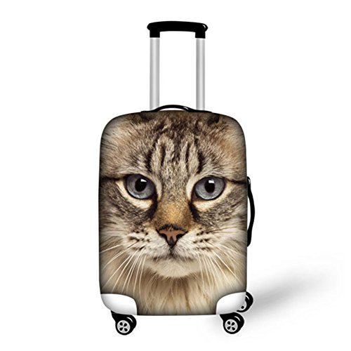 Chaqlin Tabby Cat Pattern Reisegepäck Schutz Koffer Anti-Kratz-Abdeckung Fall 22-24 Zoll von chaqlin