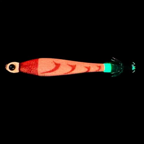 demaxiyad Künstlicher Angelköder, im Dunkeln leuchtender Tintenfischköder | Leuchtender künstlicher Tintenfischköder | Tragbare Angelausrüstung, realistischer Tintenfischköder für Vater, Sohn, von demaxiyad