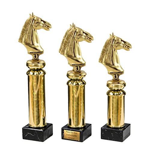 eberin · Reitsport Pokal · REIT Pokal · Pferd · Turnierreiten · Ehrenpreis · Pokal · Trophäe · Award · mit Wunschgravur in 3 Größen (Größe: 25cm) von eberin
