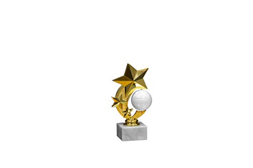 eberin · Volleyball-Pokal, Komplettfigur Volleyball, Gold, mit Wunschtext, Größe 16,2 cm von eberin
