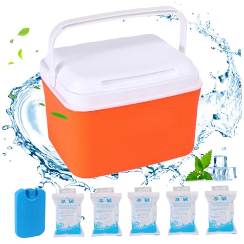 Mini -Kühler, 5qt isoliert kleine Harte Kühler, tragbare kleine Eiskiste mit Griffen, Mini -Kühler -Lunchbox, Orange Sportartikel von eurNhrN