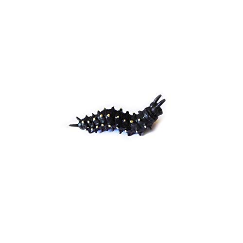 GEO-Versand Unisex – Erwachsene Geocaching Versteck Wurm, schwarz, 9 cm von geo-versand