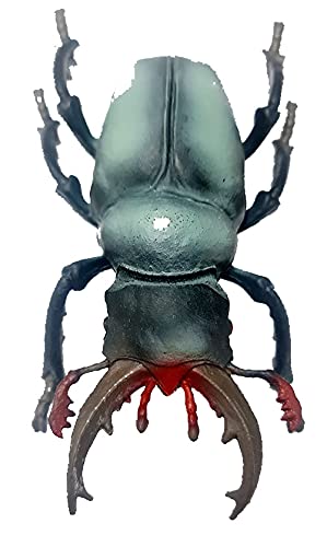 geo-versand Großer Käfer ! Geocaching Versteck Geocache Spezial ausgefallen Wald Tier Tube von geo-versand