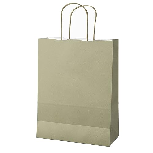 gh 25 Shoppers Twisted Kraftpapier 22 x 10 x 29 cm Salbei Mainetti Bags, Salbeigrün, Standard, Klassisch von gh