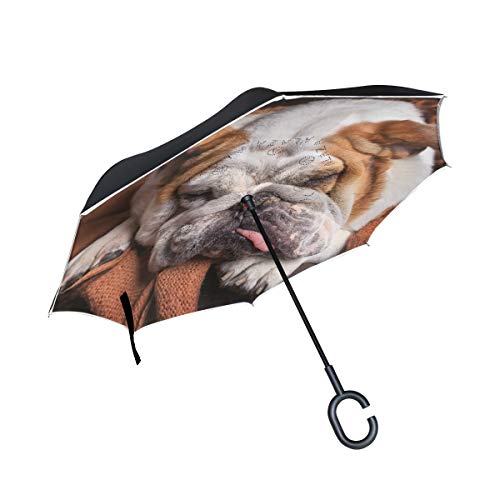 hengpai Regenschirm für Damen, winddicht, UV-beständig, doppelschichtig, für Hunde und Bulldoggen von hengpai