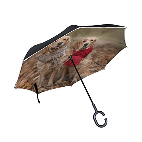 hengpai Zwei Golden Retriever Hunde Trockene Blätter Schal umgekehrt auf links gedreht Regenschirm Autos Unigue Winddicht UV Beweis Doppellagig für Frauen von hengpai