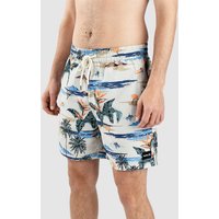 Hurley Cannonball Volley 17" Boardshorts bone von hurley