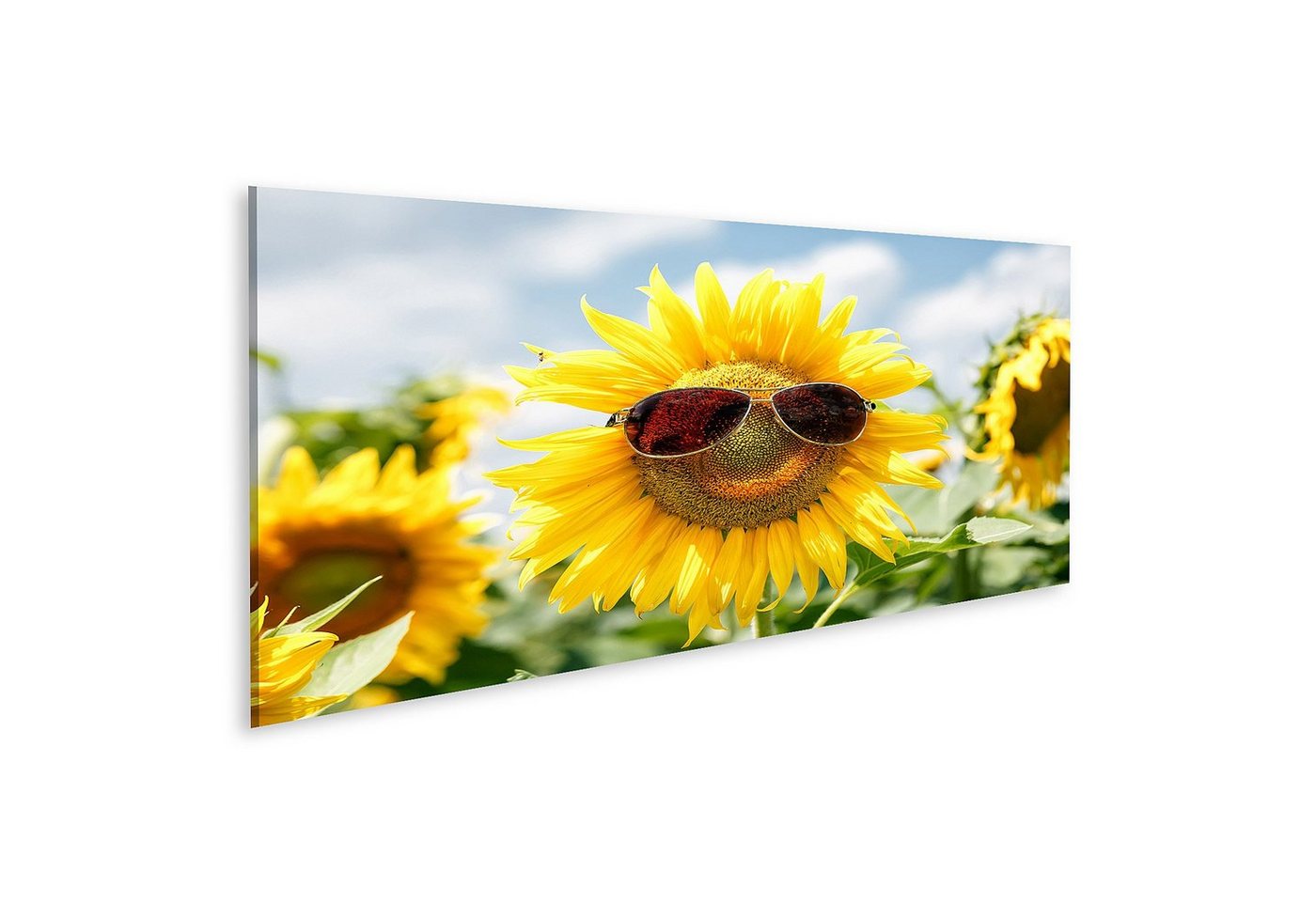 islandburner Leinwandbild Bild auf Leinwand Lustige Sonnenblume Sonnenbrille Feld Wandbild Poste von islandburner