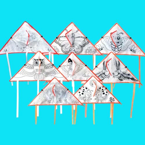 DIY Farbgefüllter Drachen für Kinder, wasserdichtes Drachen-Bastelset, fliegende Drachen, Spielzeug mit Schnurgriff, Graffiti-Farbdrachen für Jungen und Mädchen, Outdoor-Spiel (10 Stück) von jileijar