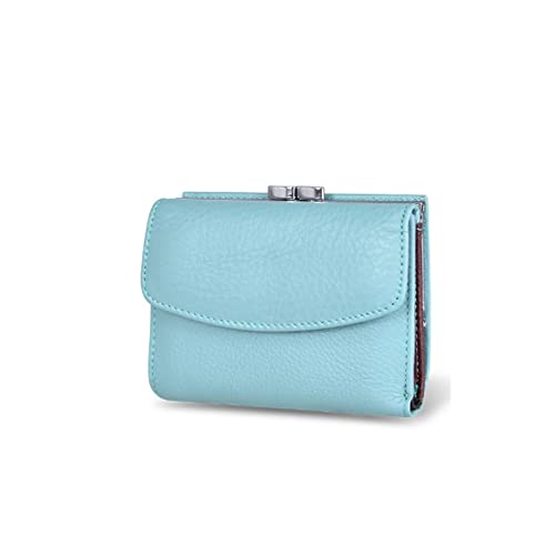 jonam Geldbörse für Damen Frauen Geldbörsen Kleine Mode Leder Geldbörse Frauen Damen Karton Tasche Handgriff Clutch Weibliche Geldbörse Geld Clip Brieftasche (Color : Blue) von jonam