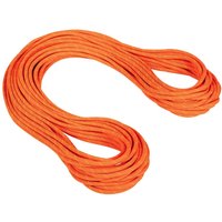 Mammut Crag Dry Rope 9.8 - Kletterseil von mammut