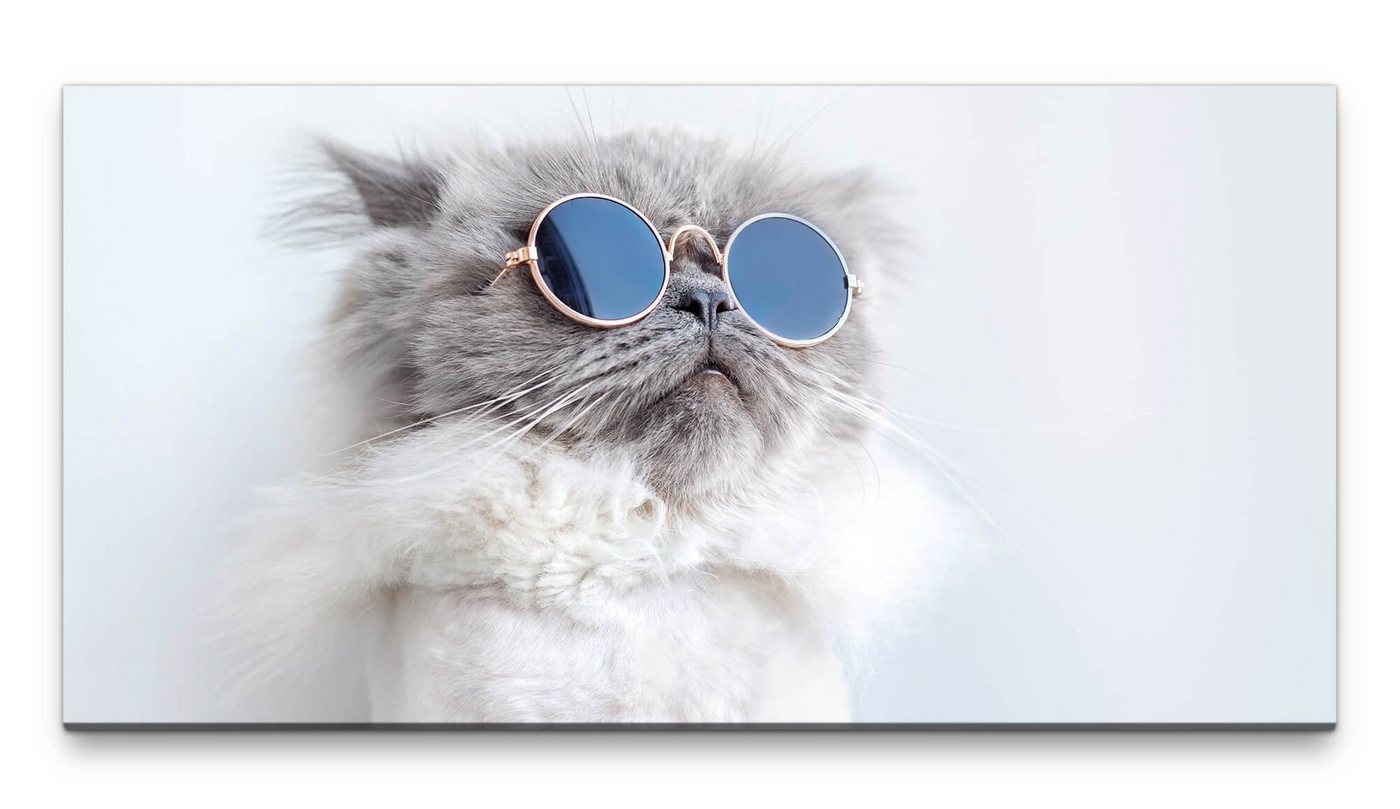 möbel-direkt.de Leinwandbild Bilder XXL Katze mit Sonnenbrille 50x100cm Wandbild auf Leinwand von möbel-direkt.de