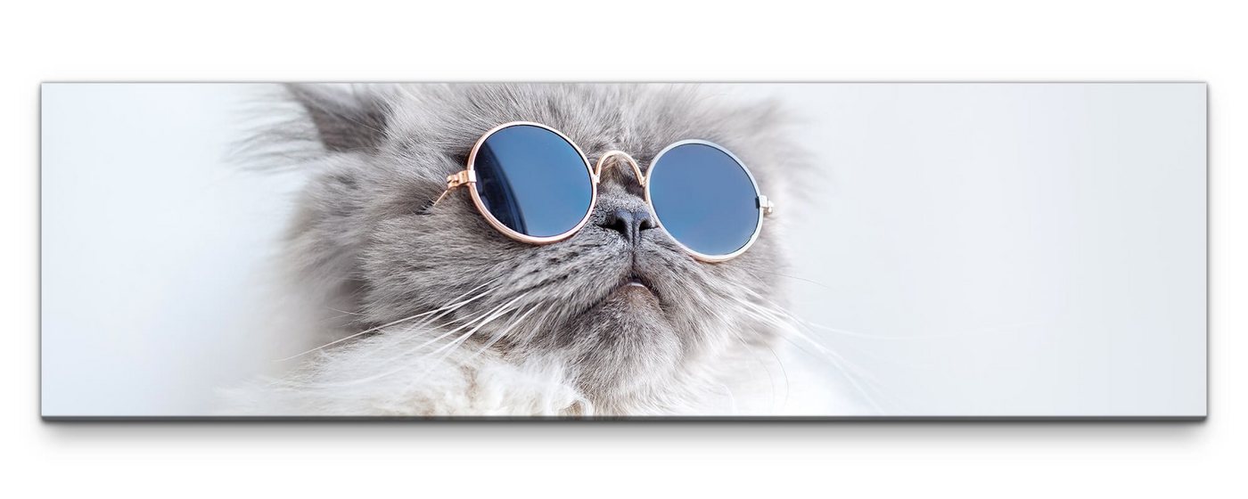möbel-direkt.de Leinwandbild Bilder XXL Katze mit Sonnenbrille Wandbild auf Leinwand von möbel-direkt.de