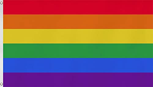 normani Premium XXL Regenbogen Flagge Fahne mit Metall-Ösen und spezieller Versiegelungstechnik - Doppelt gesäumt mit brillanten und lebendigen Farben Größe 150x250cm von normani