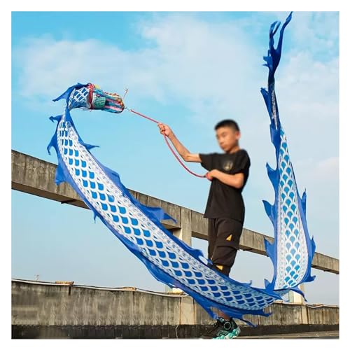 sxpGBP Drachentanz Band, Sport-Spinning-Drachentanz, for spielende Kinder, chinesischer waschbarer Seiden-Flowy-Streamer, Sport-Drachentanz-Fitness (Size : 3 m/10ft Long) von sxpGBP