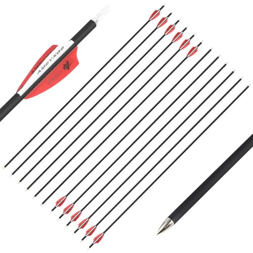 wolfman 31 Zoll Carbonpfeile für Bogenschießen 1000 Spine Carbon Pfeile Carbon Jagdpfeile Carbon Arrows mit 2 Zoll Plastikfeder für Pfeil Bogen Recurvebogen Compoundbogen (24Pcs, Rot Pfeile) von wolfman